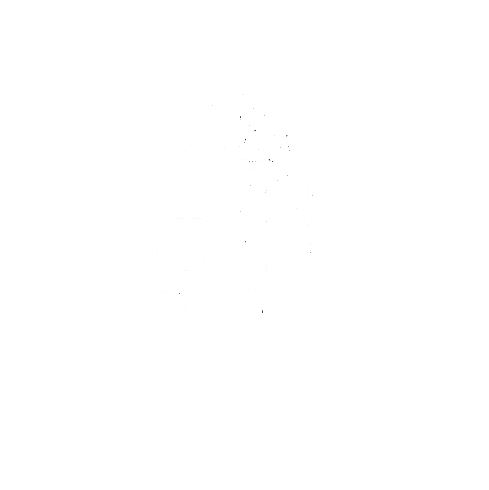 Washington Brain & Spine Institute